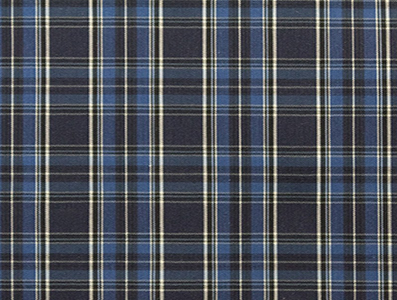 Portfolio Image